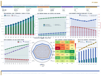 Fractional CFO Financial Insights, KPI Dashboard & Strategic Reporting