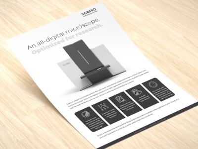 An One-Pager or Sales Sheet Design (B2B Corporate Communication)