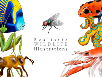A realistic animal illustration