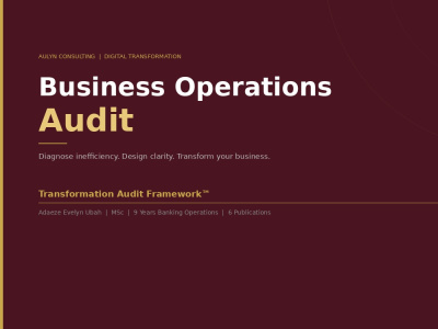 I will audit your business operations and deliver a transformation roadmap
