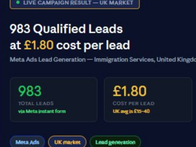 A high-converting Meta Ads or Google Ads campaign with proven ROI