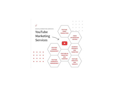 A YouTube Strategist to Grow Views and Subscribers