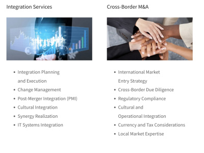 A business structure recommendation that is dynamic and cost-effective.