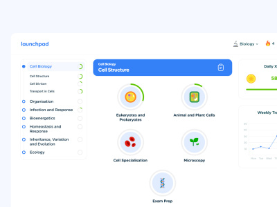 SaaS Designer | UX Designer | Product Designer | Figma | SaaS UI Designer