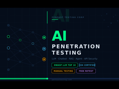 An AI Penetration Test + OWASP LLM Top 10 Security Report