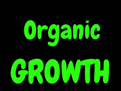 Organic Discord Engagement & Growth Specialist