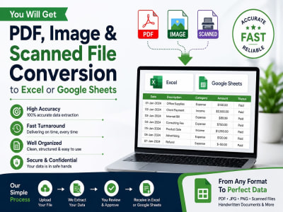 PDF, Image & Scanned File Conversion to Excel, CSV or G. Sheets wihin 24 hr