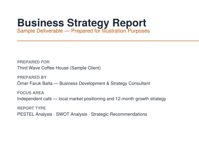 Business Strategy Report for Your Startup or Small Business