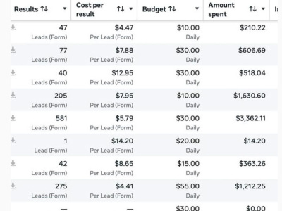 A professional Facebook and Instagram Ads campaign that drives sales