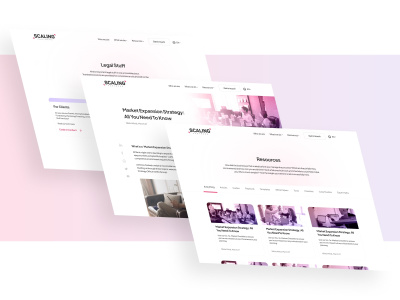 UIUX Designer | Product Designer | UI UX Designer Figma | Web Designer
