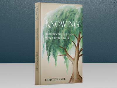 A stunning, high-converting book cover that drives book sales.