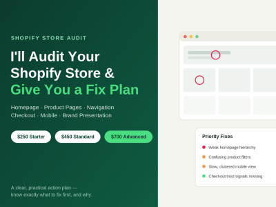 A Shopify audit and a clear fix plan.