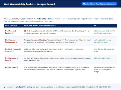 A WCAG 2.2 audit tested by a blind screen-reader user