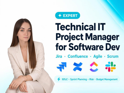Technical IT Project Manager for Software Development