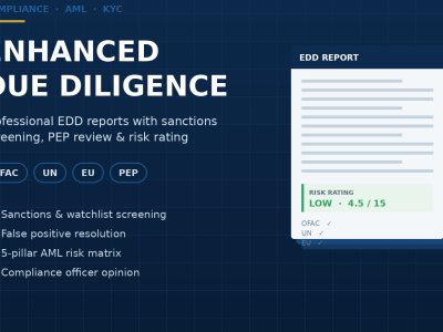 A professional Enhanced Due Diligence (EDD) report
