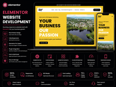 A professional Elementor website