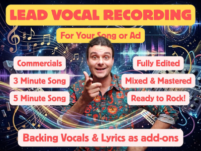 Custom lead vocal recording for your song or soundtrack