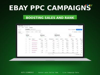 EBay PPC Ads Management | Promoted Listings, Lower ACOS, More Sales