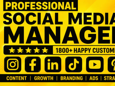 Social media marketing manager content creator instagram assistant