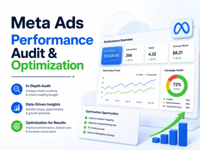 Meta Ads Audit, Analysis & Optimization