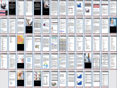 A Fundraiser Business Plan, Financial Plan, Proposal, and Pitch Deck today