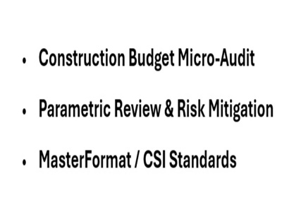 I will perform a parametric micro-audit of your construction budget (PoC)