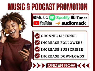 Spotify Music Promotion and Create a Professional Artist Brand Website, EPK