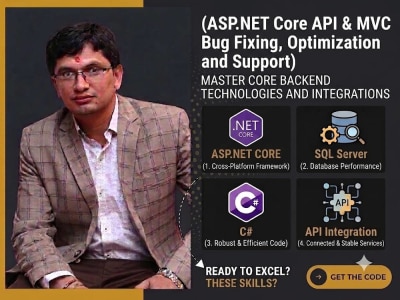 ASP.NET Core API & MVC Bug Fixing, Optimization and Support