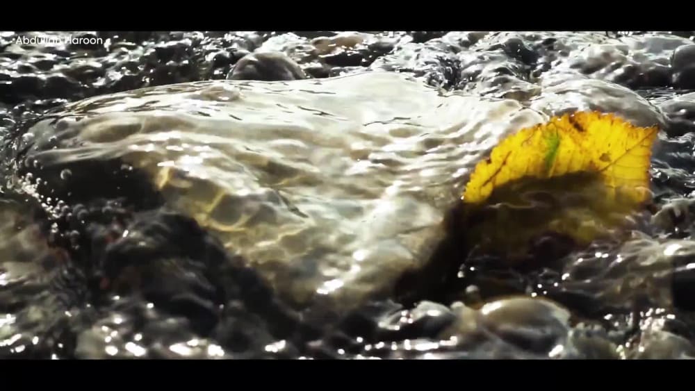 Play video