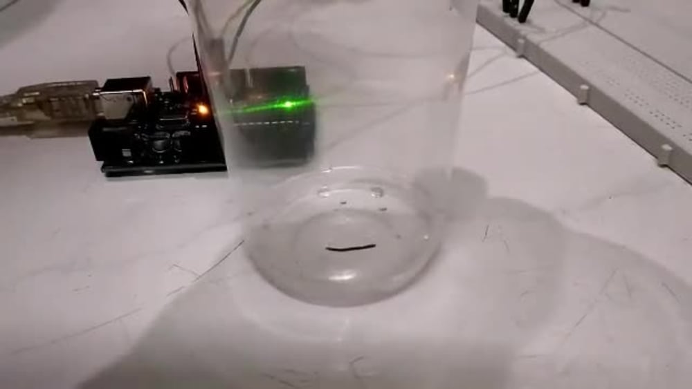 Play video