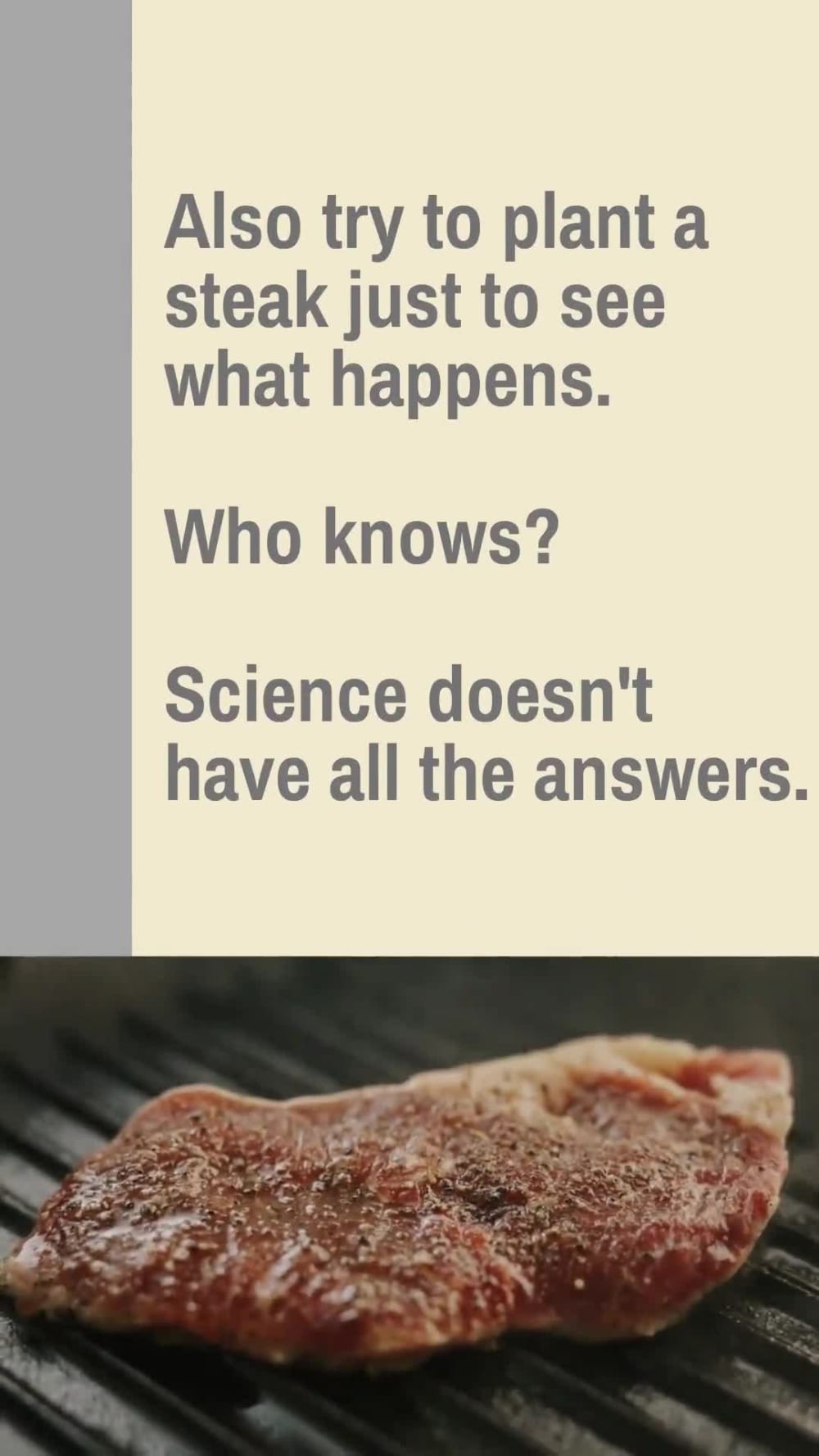 A funny video about crypto or NFTs by a professional comedy writer | Upwork