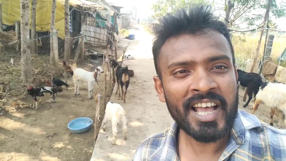 Goatman video spokesperson and say anything you want in video Upwork