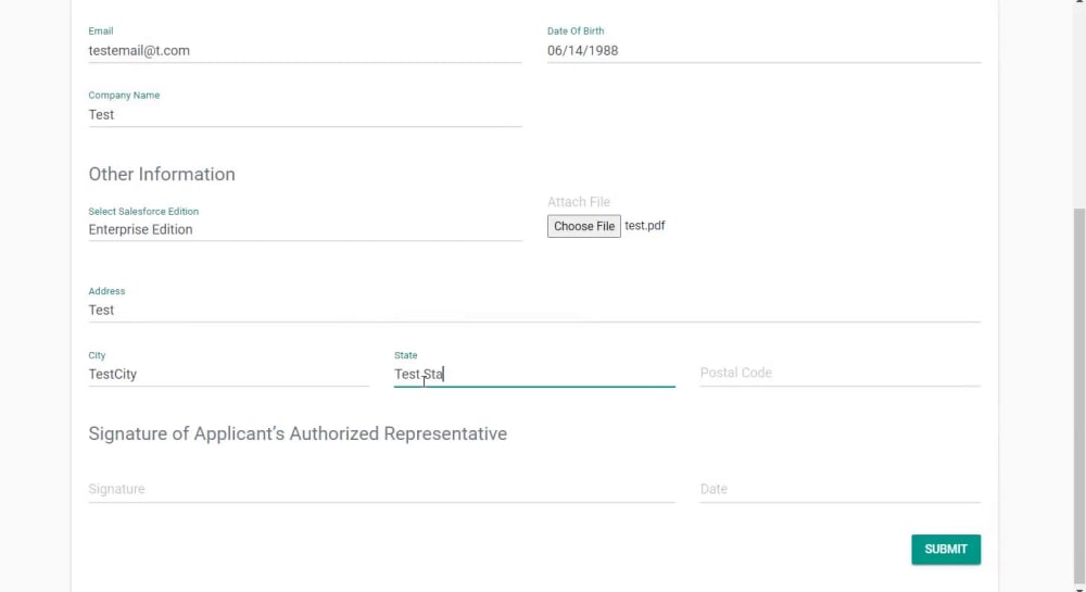 An amazing public form in Salesforce | Sns-Brigh10