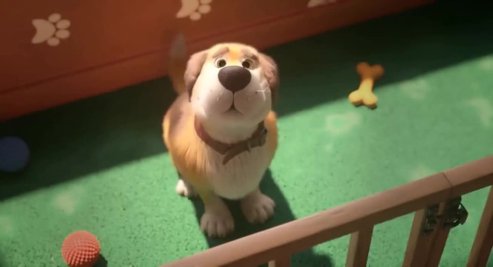 Play video