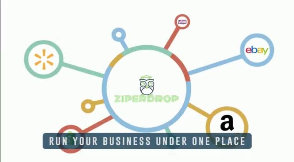 Elegant motion graphics and 2d animation Upwork