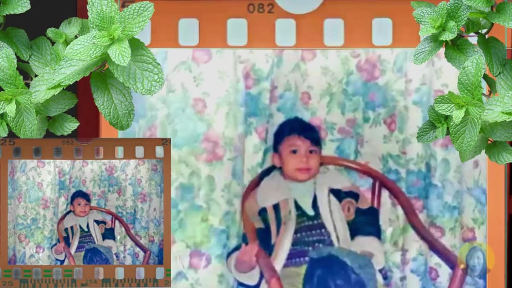 Converted FILM NEGATIVES to positive digital images Upwork