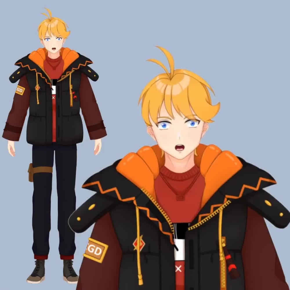 A 2D Vtuber model, Vtuber rigging, and a 2D Vtuber | Upwork