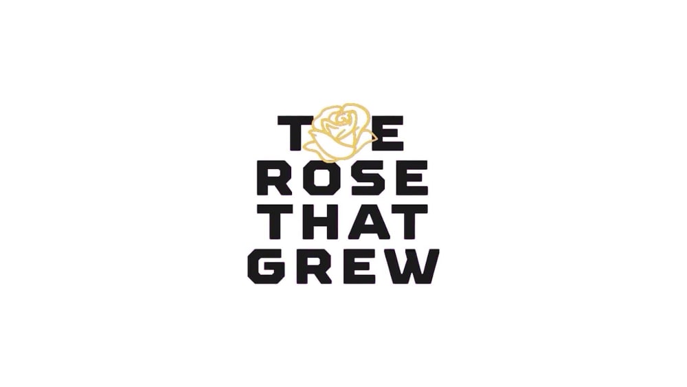 A Unique Animate Logo Upwork