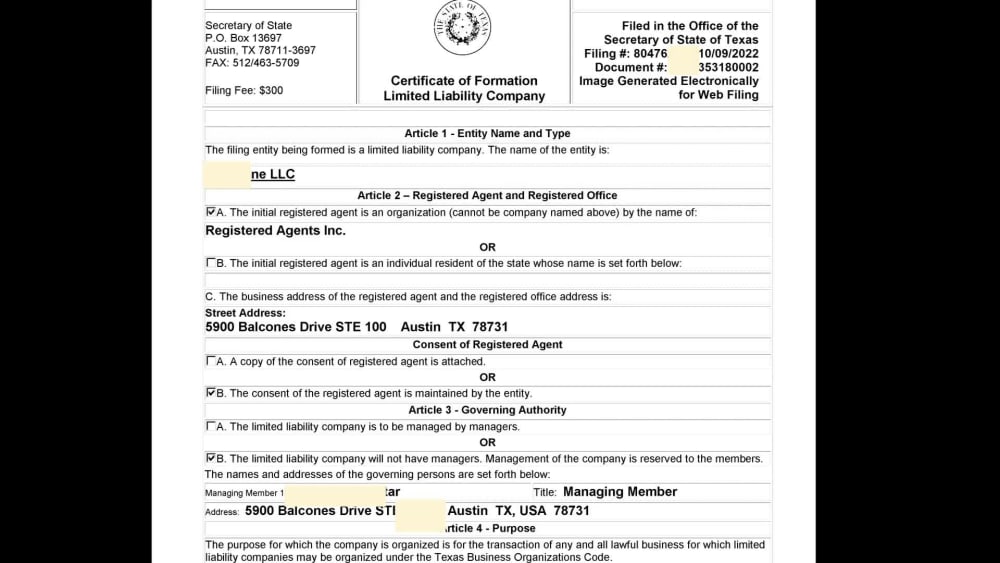 Consultation to form US LLC, Tax ID, Bank Account and Seller Permit