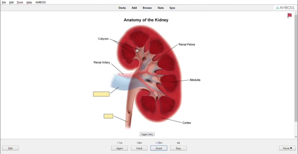 Comprehensive, effective, and powerful anki flashcards Upwork