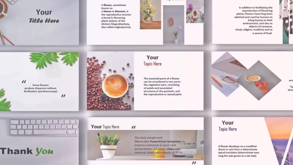 PowerPoint Expert for PowerPoint Presentation Design, PPT Pitch Deck