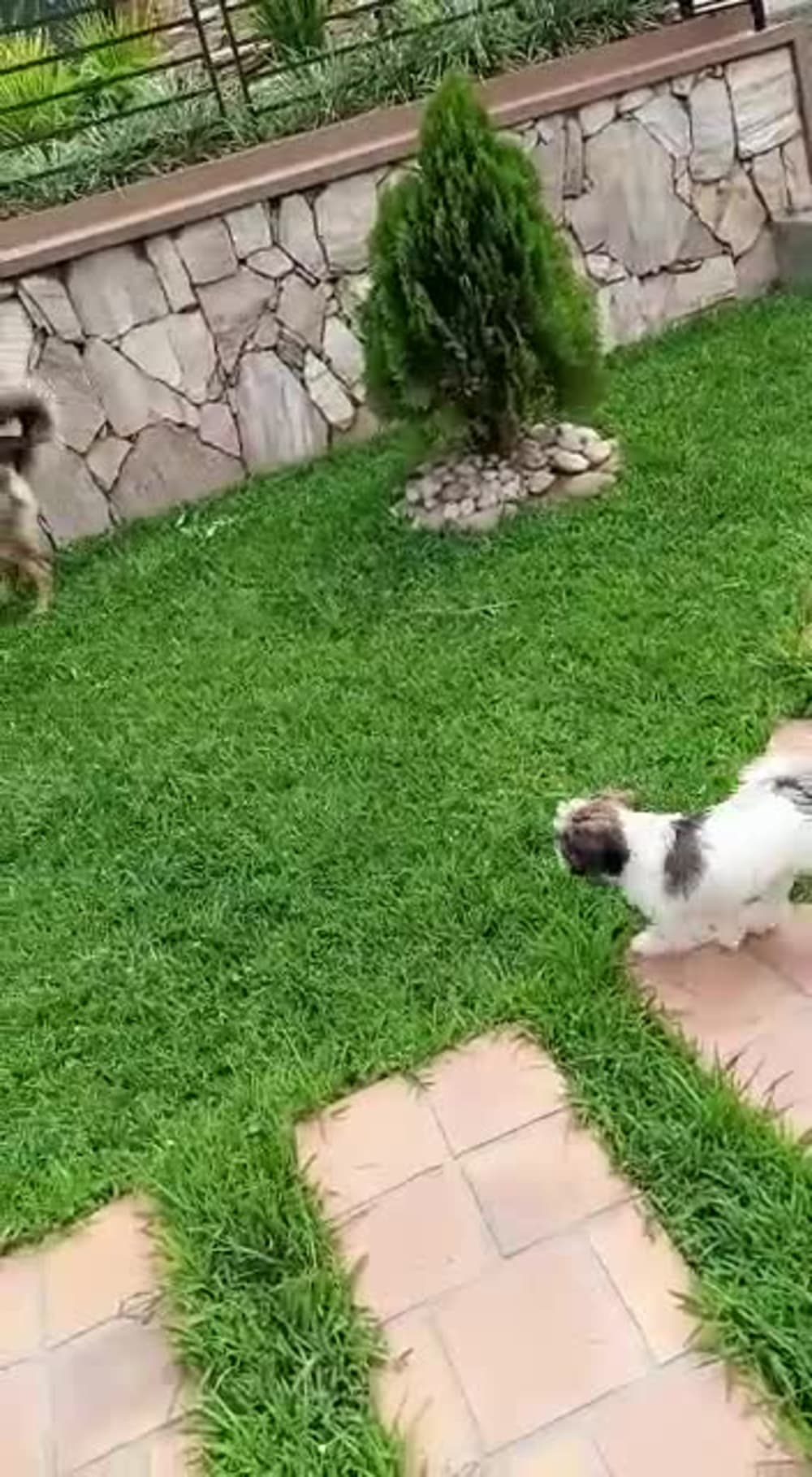 Play video