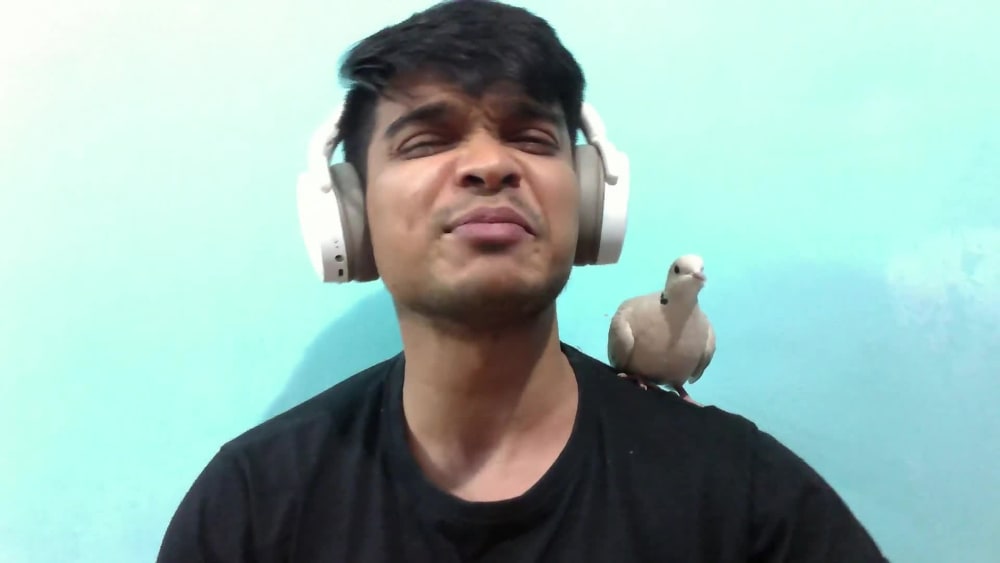 Play video