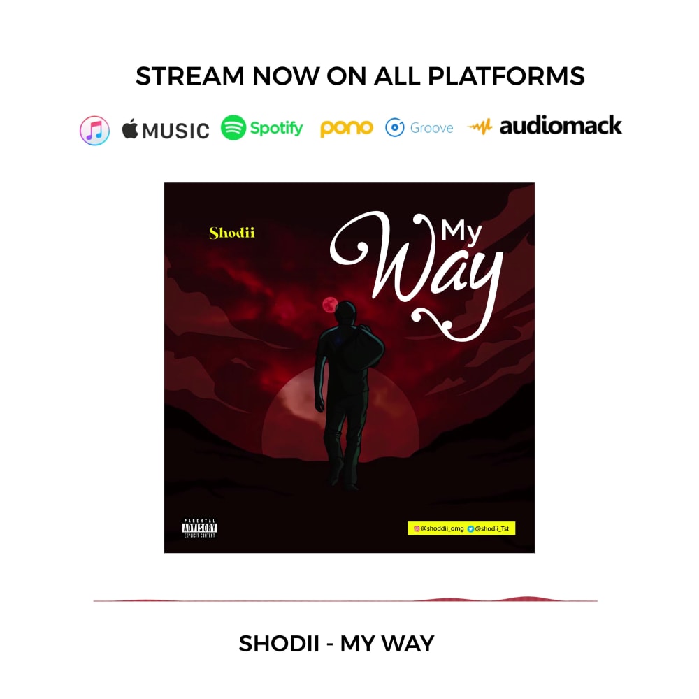 An animated Spotify canvas, music cover of your existing design Upwork