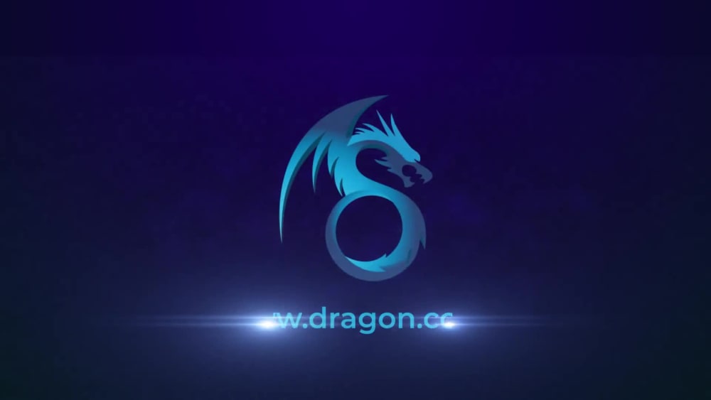 Create a custom logo animation video intro for your brand or company ...