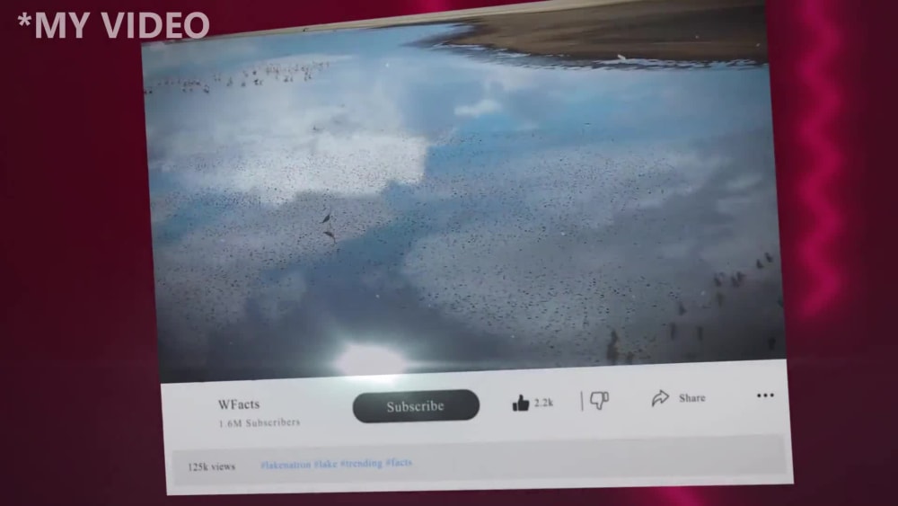 Play video