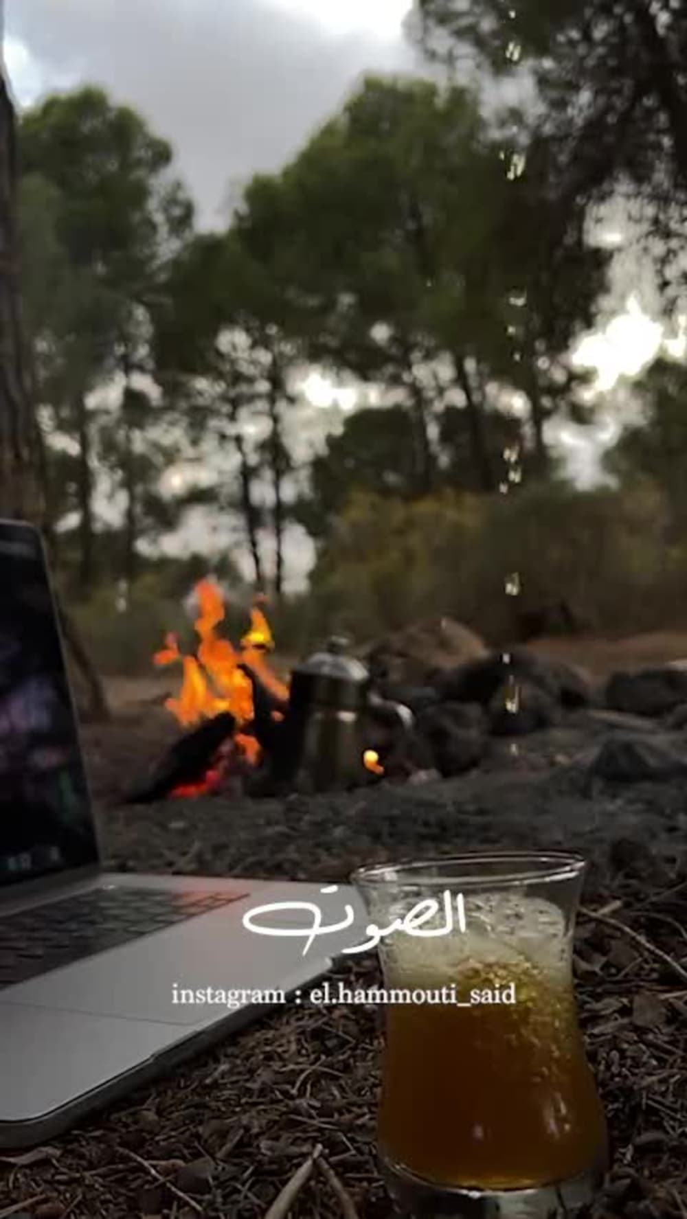 Professional Arabic narrator and Voice Over artist Upwork