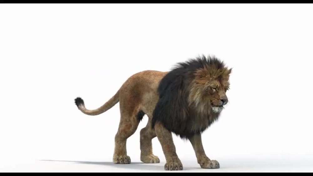 3d CGI animal models, 3d animal rendering, 3d pet and realistic ...