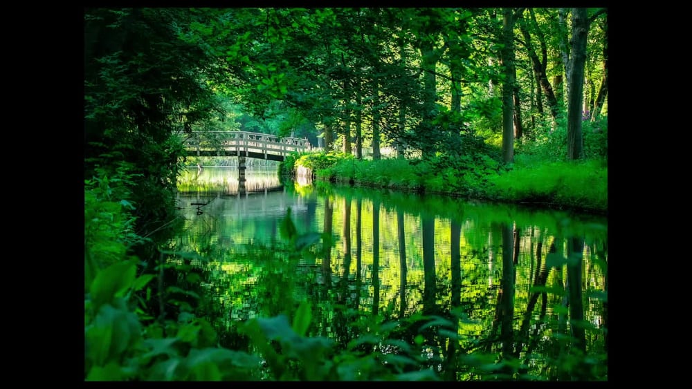 Professional Photo Editing Services. Take your photos to the next level