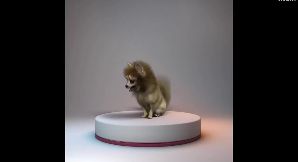Play video